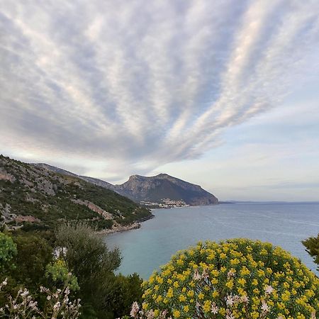 Appartamento A 50 Mt Dal Mare Cala Gonone Ngoại thất bức ảnh