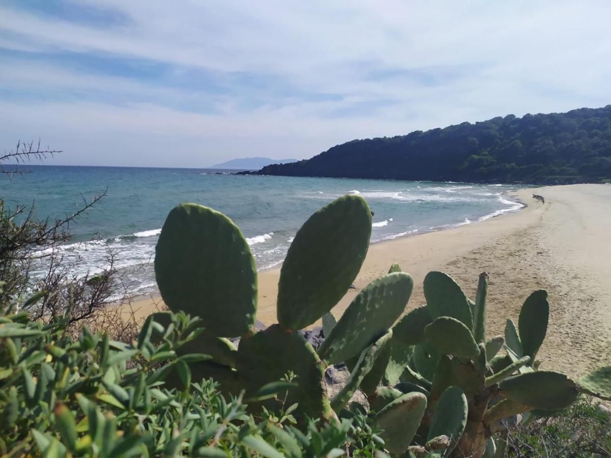 Appartamento A 50 Mt Dal Mare Cala Gonone Ngoại thất bức ảnh