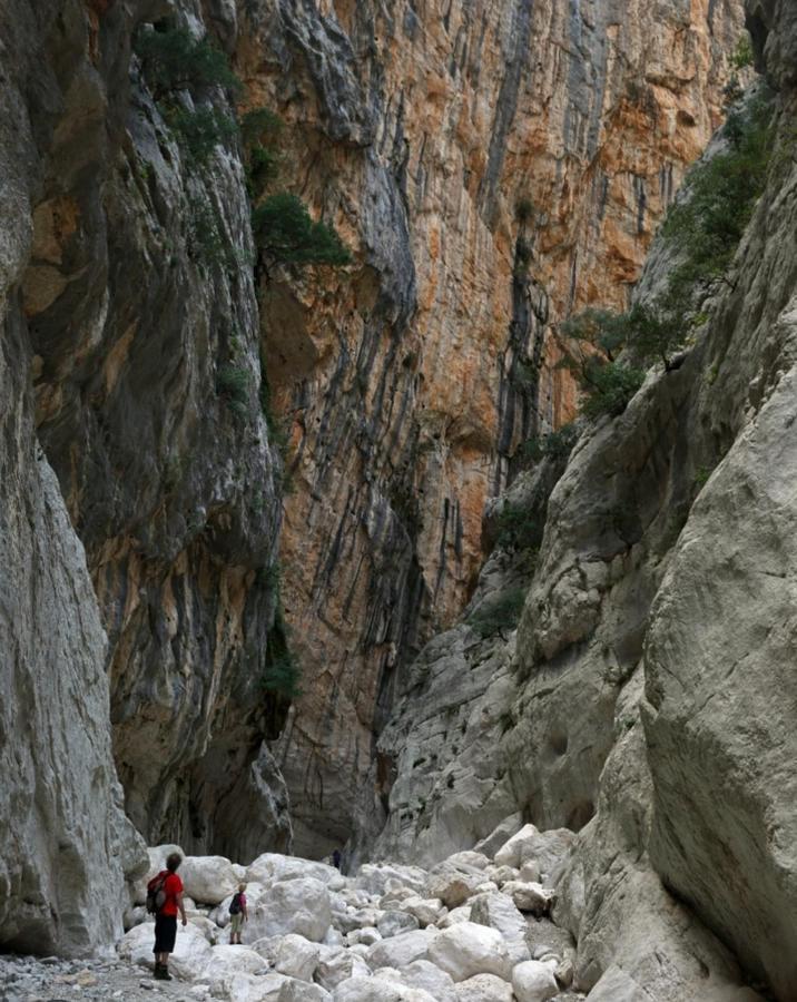 Appartamento A 50 Mt Dal Mare Cala Gonone Ngoại thất bức ảnh